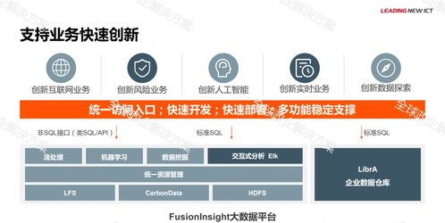 華為金融大數(shù)據(jù)解決方案的軟件開發(fā)實(shí)踐