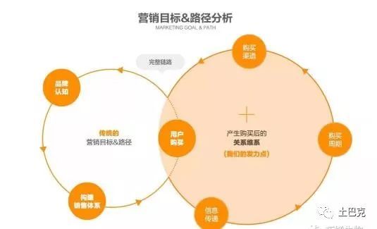 互聯網+合作社 新型農業開啟致富新篇章，數據處理服務成為關鍵引擎